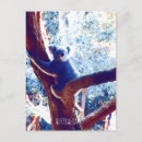 Recherche de koala australie cartes postales Vert
