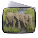 Zoek naar olifant laptop sleeves Afrika