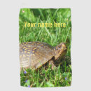 Recherche de terrapene Nature