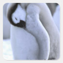 Recherche de oxford autocollants Manchot