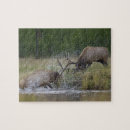 Recherche de yellowstone puzzles Faune
