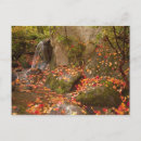 Zoek naar arboretum briefkaarten Tuin