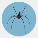 Recherche de araignée autocollants Sauvage