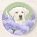 Zoek naar puppy onderzetters Hond