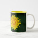 Recherche de pissenlits tasses Floral