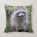 Recherche de ratons laveurs coussins Adorable