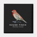 Recherche de ornithologie magnets Rouge