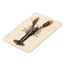 Recherche de homard magnets Mollusques et crustacés
