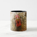Recherche de poules tasses Poulet