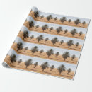 Zoek naar palmen cadeaupapier Boom