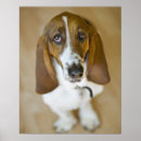 Recherche de hound art Animal