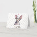 Zoek naar sphynx katten kaarten Schattig