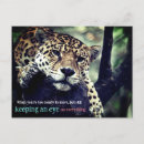Recherche de jaguar animal cartes postales Sauvage