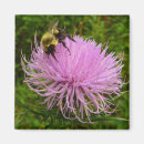 Recherche de chardon magnets Floral