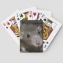 Recherche de rat jeux de cartes Animal