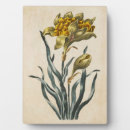 Recherche de fleurs vintages plaques Floral