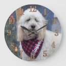 Recherche de chien de caniche horloges Amoureux des chiens