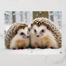 Zoek naar hedgehog briefkaarten Dier