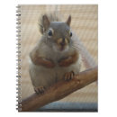 Zoek naar eekhoorn notitieboeken Bosdier