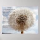 Recherche de sobriété posters Sérénité