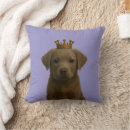 Recherche de labrador coussins Chiot du labrador