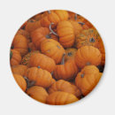 Recherche de dîner de thanksgiving magnets Chute