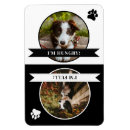 Recherche de empreinte de patte magnets Animal