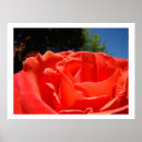 Recherche de fleurs f art Toute personne