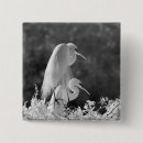 Recherche de naples badges Floride