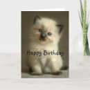 Recherche de ragdoll vœux cartes Pelucheux