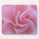 Recherche de camelia tapis souris Fleur
