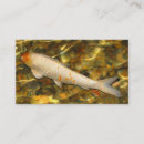 Recherche de aquarium poissons cartes visite Aquariums