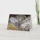 Zoek naar ratten verjaardagskaarten Muis