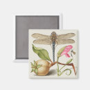 Recherche de fleur de vie magnets Vintage