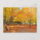 Recherche de sainte anne cartes postales Canada