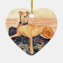Zoek naar greyhound kerstdecoratie Huisdieren