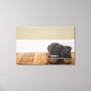 Recherche de cuvette art Horizontal