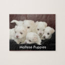 Zoek naar malta puzzels Puppies