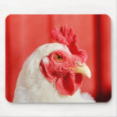 Recherche de poulette tapis souris Coq
