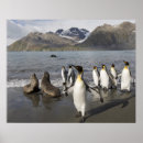 Zoek naar volle zee posters Blauw