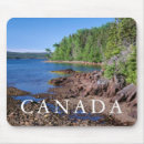 Recherche de conifères tapis souris Bleu