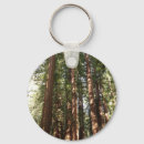 Recherche de séquoia porteclés Muir woods