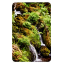 Recherche de moine magnets Pour tous