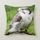 Recherche de oiseau de proie coussins Faucon