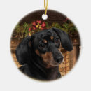 Zoek naar dachshund ornamenten Xmas