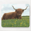 Recherche de cow tapis souris Bétail