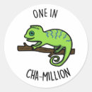 Recherche de cameleon autocollants Un sur un million