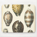 Recherche de coquillages colorés tapis souris Coquille