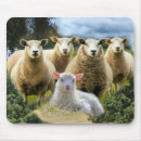 Recherche de agneau tapis souris Troupeau de moutons