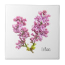 Zoek naar lila tegels Paars